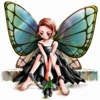 MARIPOSA SOLITARIA.jpg